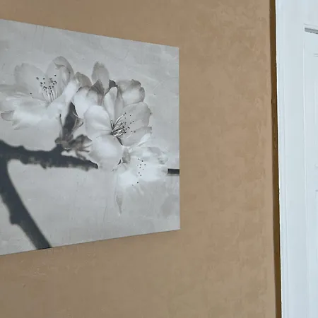 招待所 Cconforthotels R&b Dolci Notti 3*